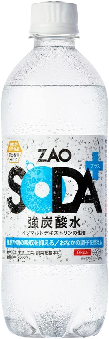 強炭酸水 ZAO SODA 500ml ×48本